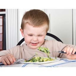 El gusto por los alimentos nace en la infancia. Cmo evitar que sea selectivo con la comida