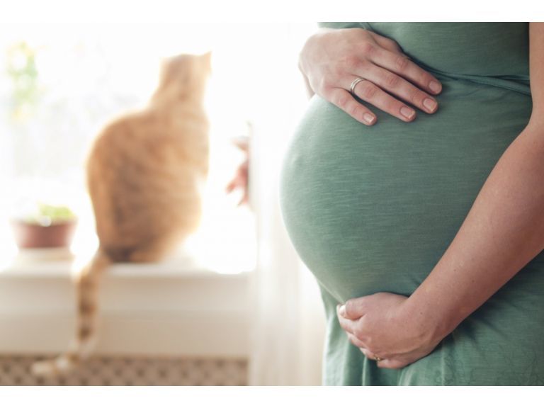 Toxoplasmosis en el embarazo. ¿Cómo prevenirla?